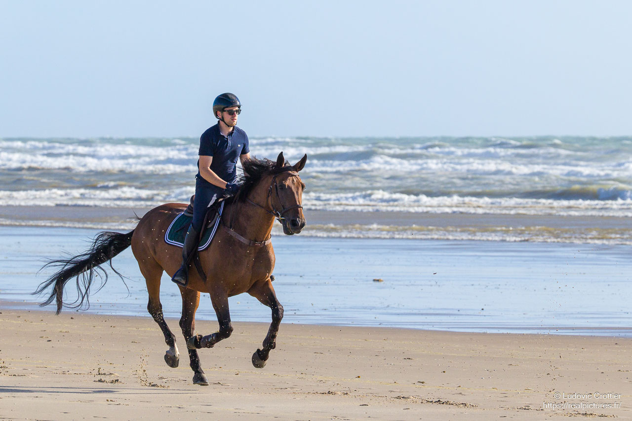 Balade à cheval sur la plage - Noé sur Forever